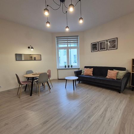Duzy Komfortowy Apartament W Samym Centrum Przy Manufaktura I Piotrkowska, Blisko Zoo, Fala Daire Łódź Dış mekan fotoğraf